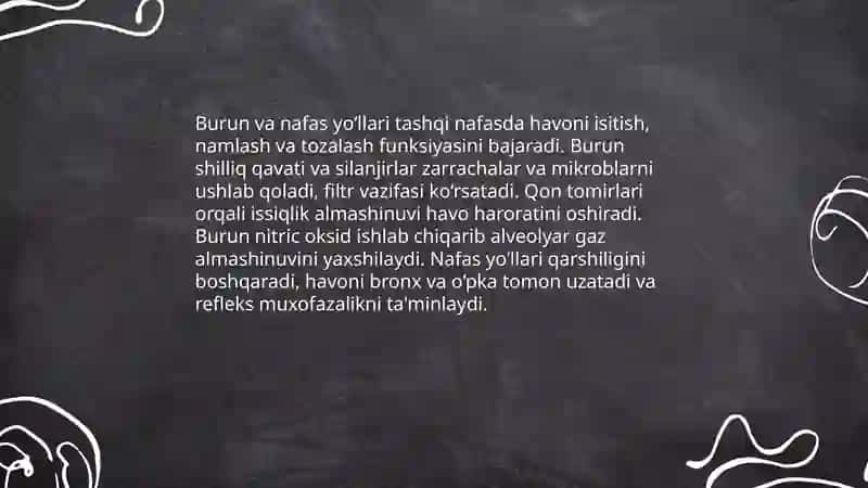 NAFAS FIZIOLOGIYASI 4
