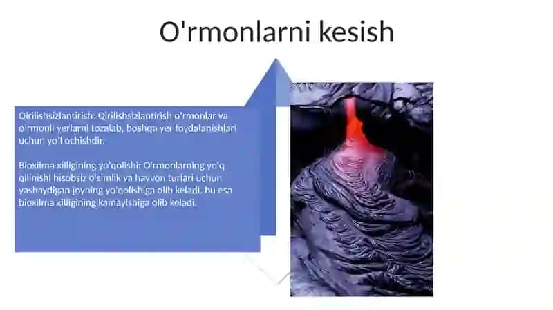 Global Ekologik Muammolar 4