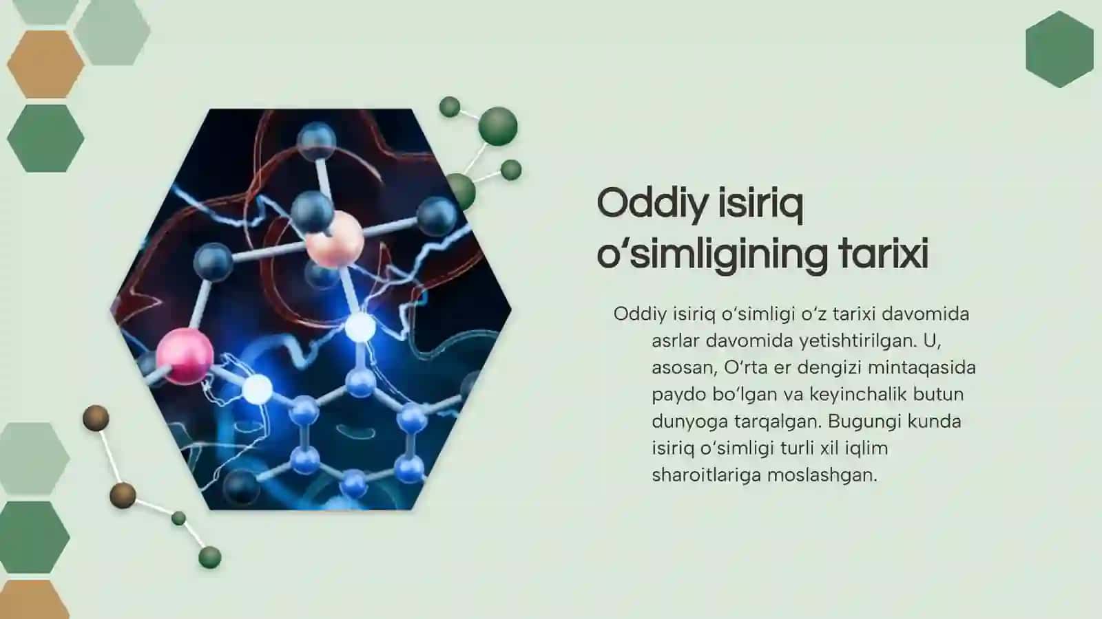Oddiy isiriq o‘simligining urug‘chiligi 4