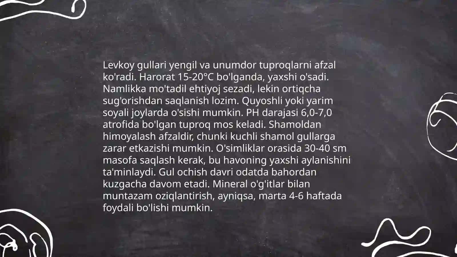 Levkoy gulining bioekologik xususiyati 4