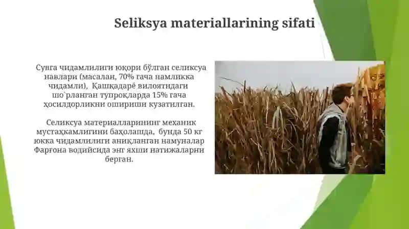 Seliksiya Materiallarini Baholash 4