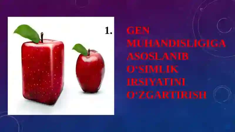 GEN MUHANDISLIGIGA ASOSLANIB O‘SIMLIK IRSIYATINI O‘ZGARTIRISH 4