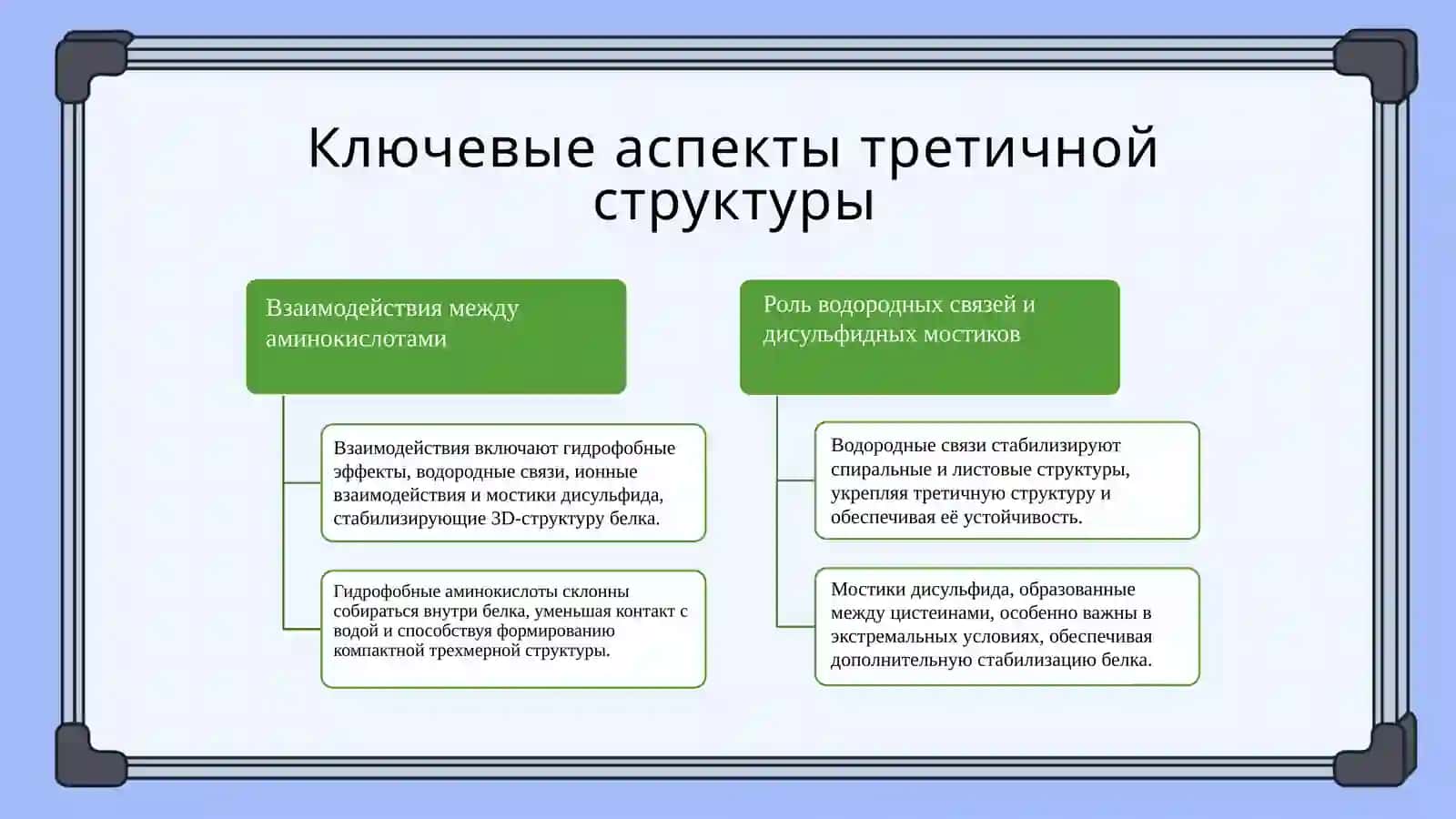 Третичная структура белков 4