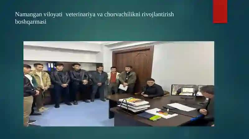 Samarqand Davlat Veterinariya Meditsinasi 4