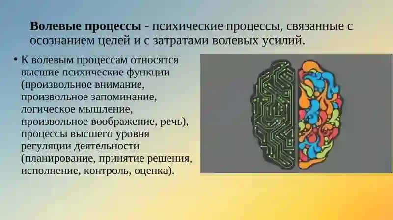 Волевые качество человека 4