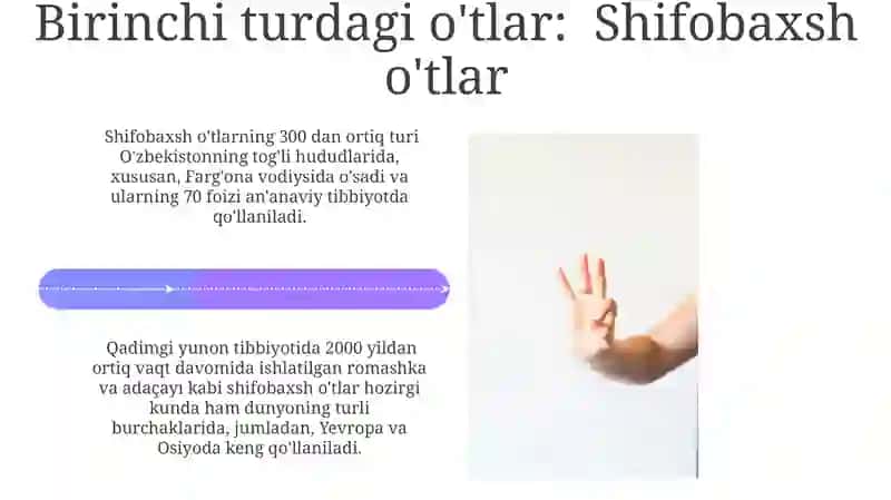 Dorivor o'simliklarning 5 turi 4