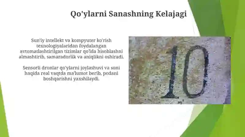 Qo'ylarni sanashning matematik modellari 4