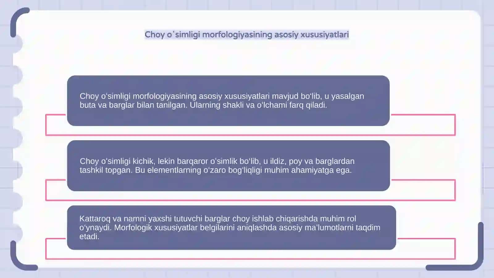 Choy oʻsimlikligini morfologik tavsifi 4