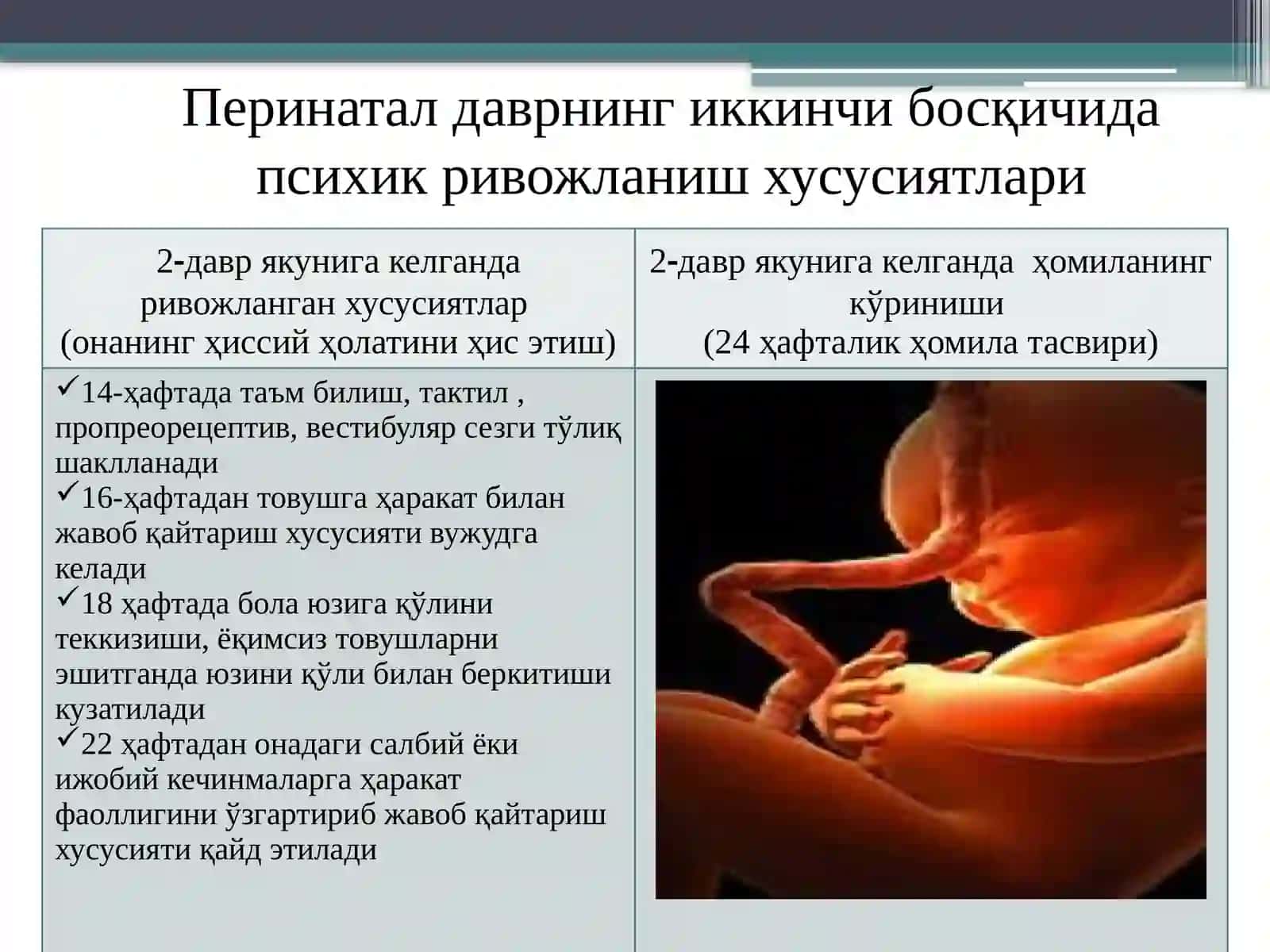 Ёш даврларининг психологик хусусиятлари 4