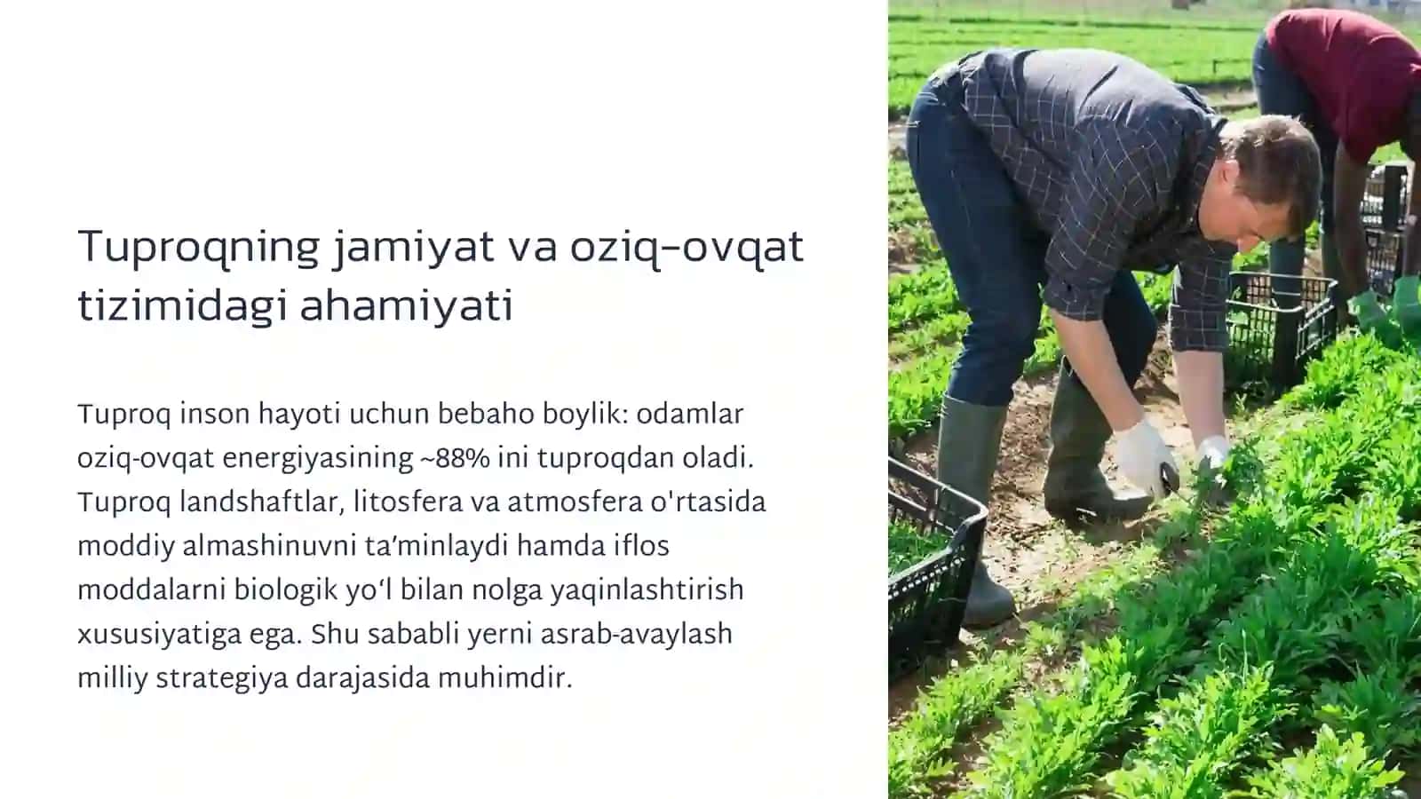 Tuproq resurslari va uning muhofazasi 4