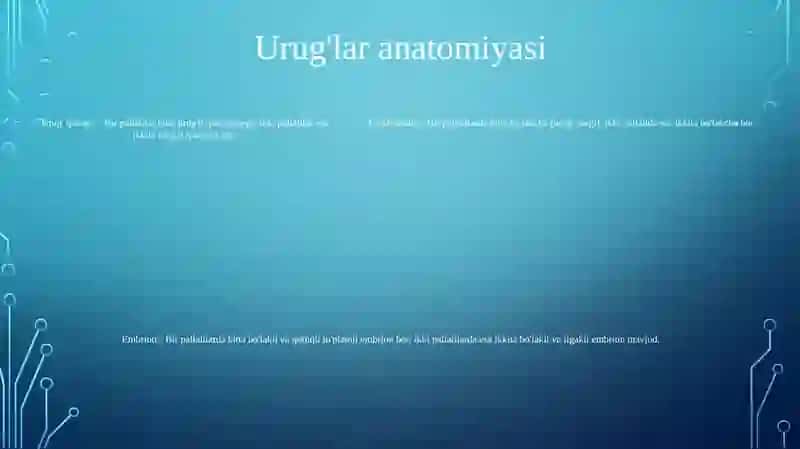 O'simliklarning Tuzilishi 4