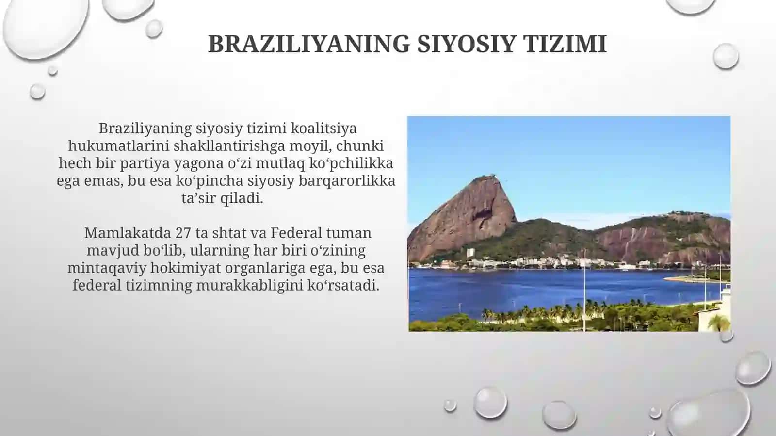 Braziliya va G20 4