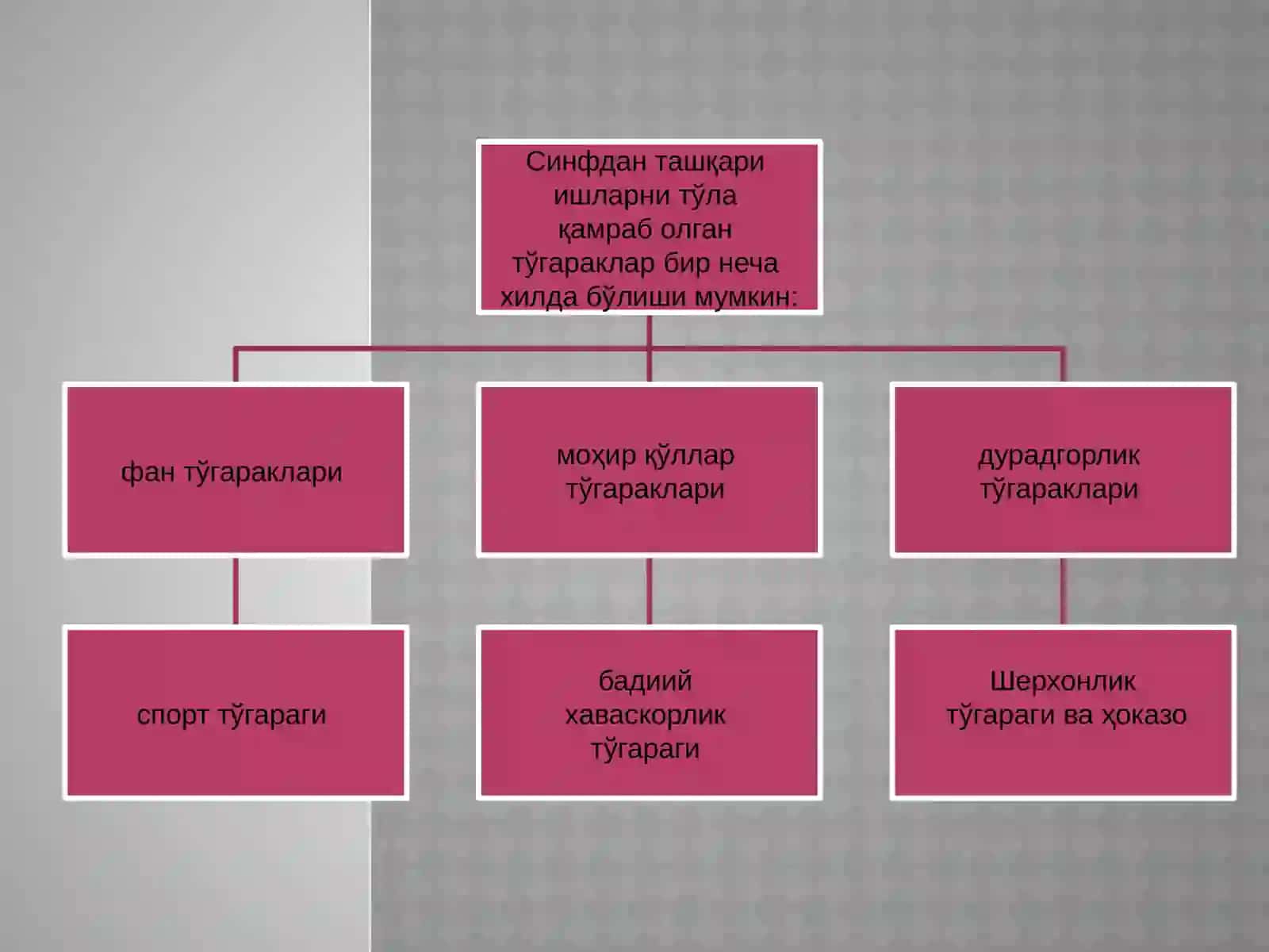 СИНФДАН ТАШҚАРИ ЎҚИШ ДАСТУРЛАРИ 4