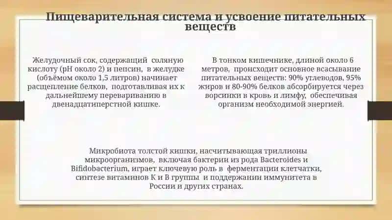 Питание и здоровье человека 4