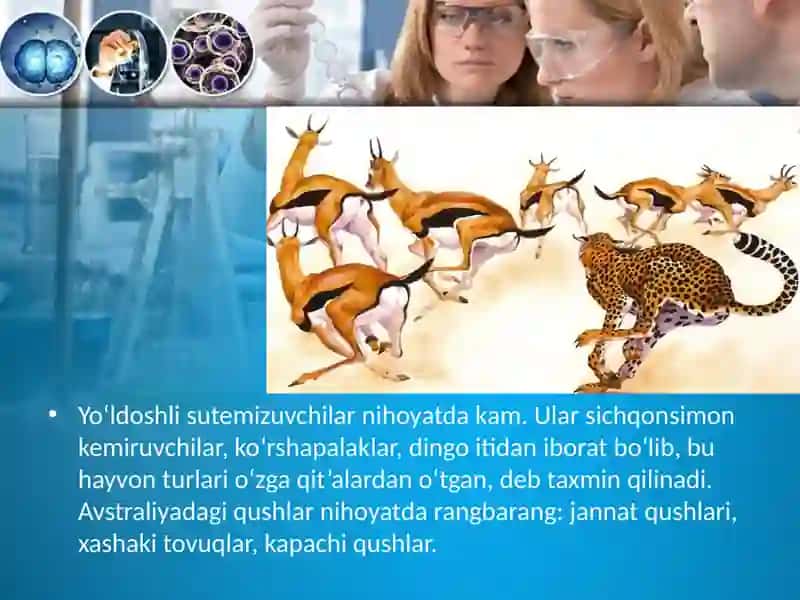 Evolutsiyani isbotlashda biogeografiya fani dalillari 4