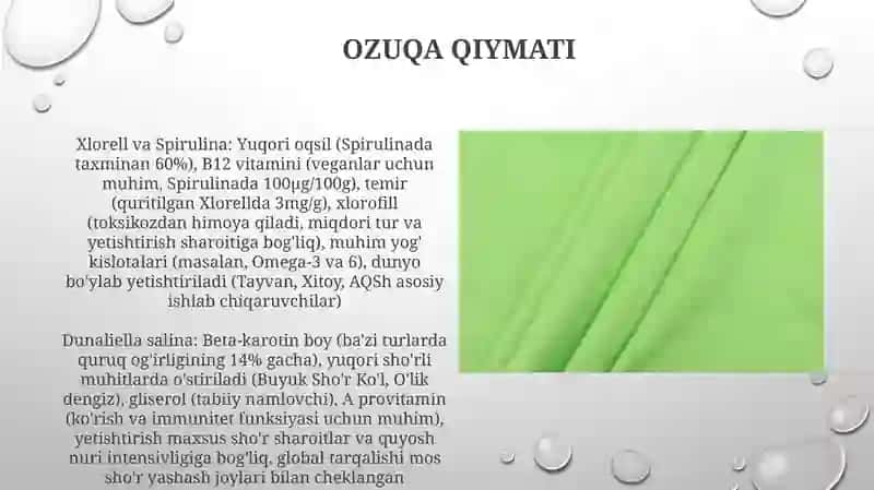 Yashil suv o'tlari (Chlorophyta) 4
