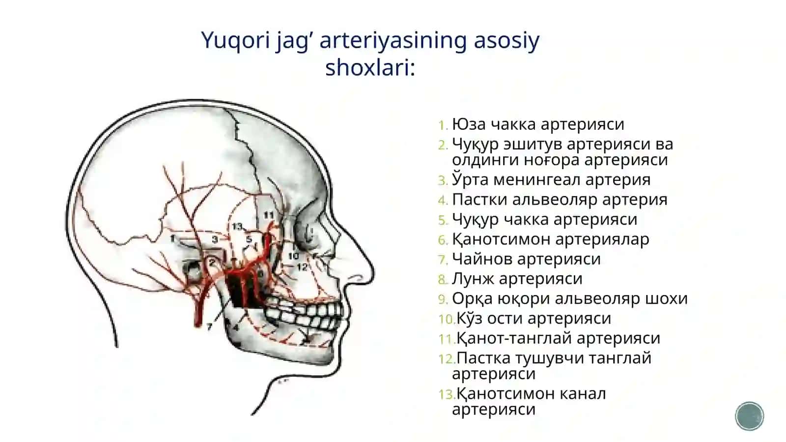 BOSHNING YUZQISMITOPOGRAFIYASI 4