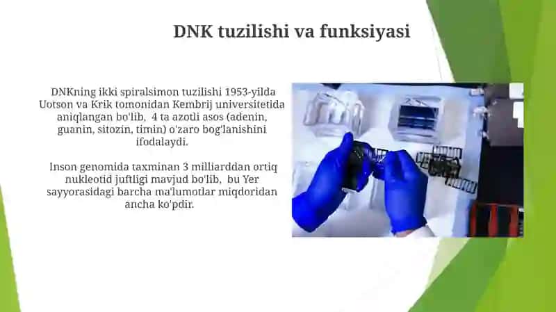 Umumiy genetika 4