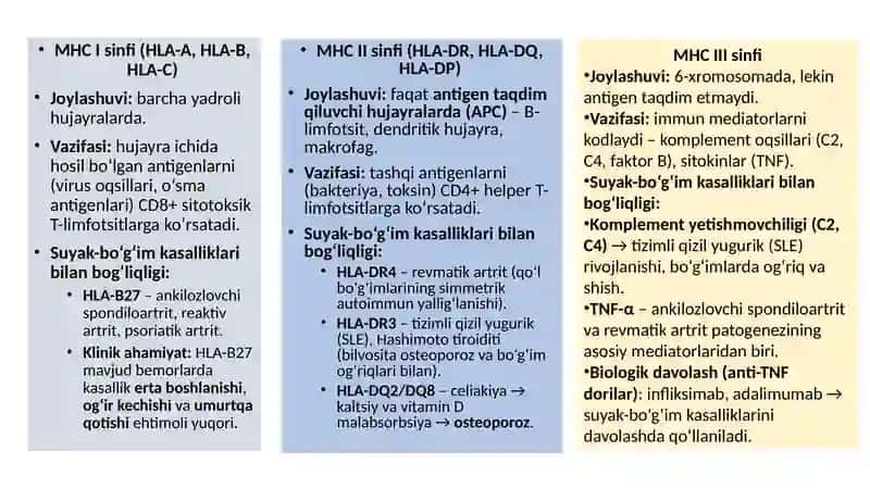 HLA immun sistemasi 4