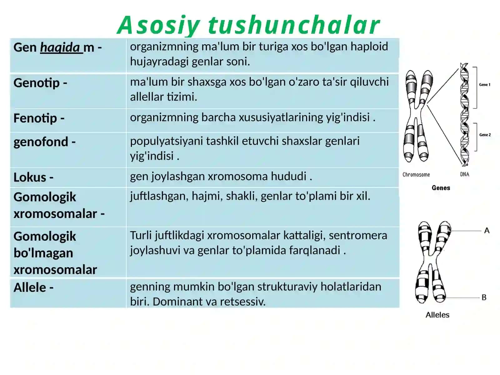 Irsiyatning asosiy shakllari.G. Mendel qonunlari 4
