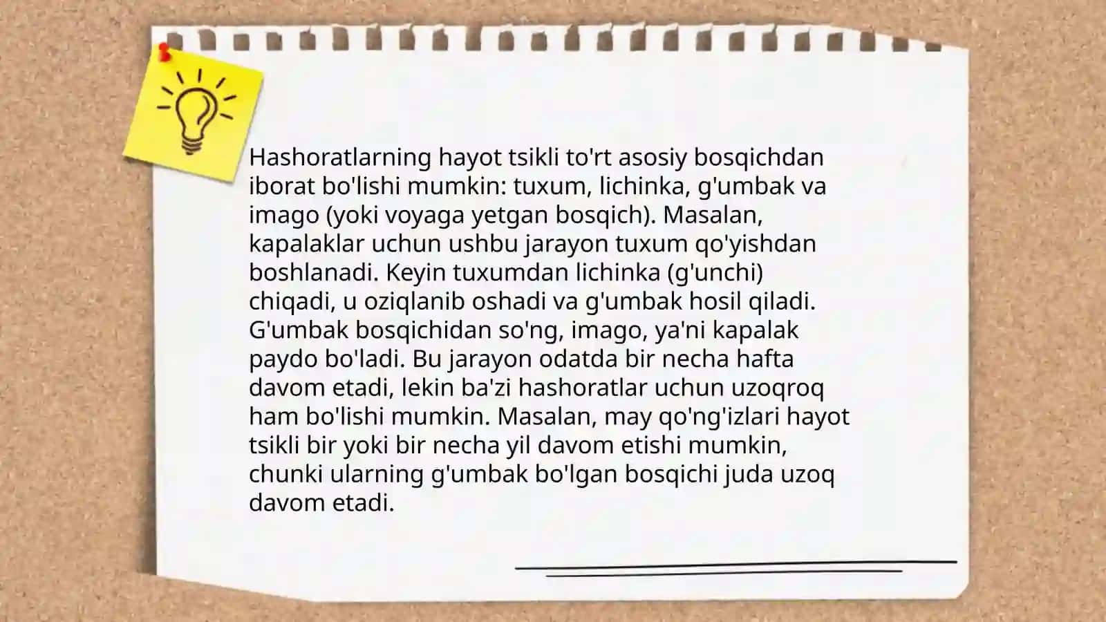 Rarazit hashorotlar 4