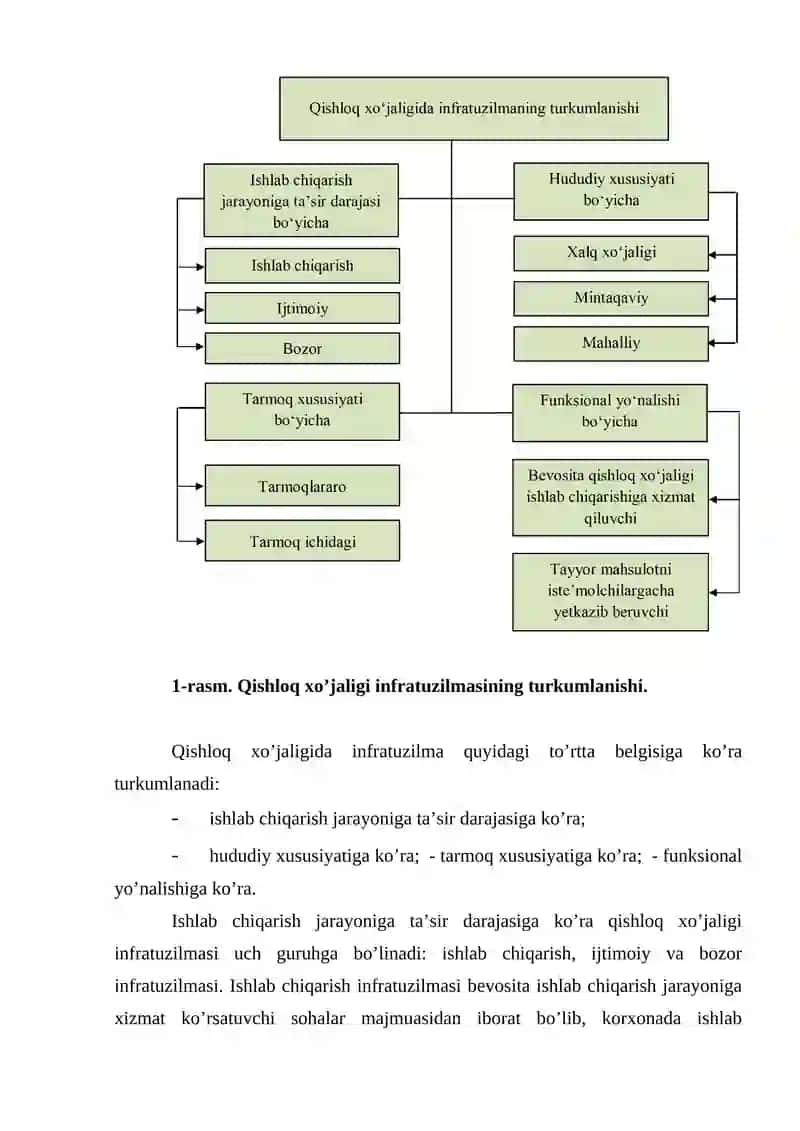 Infratuzilma va ildizlar 4
