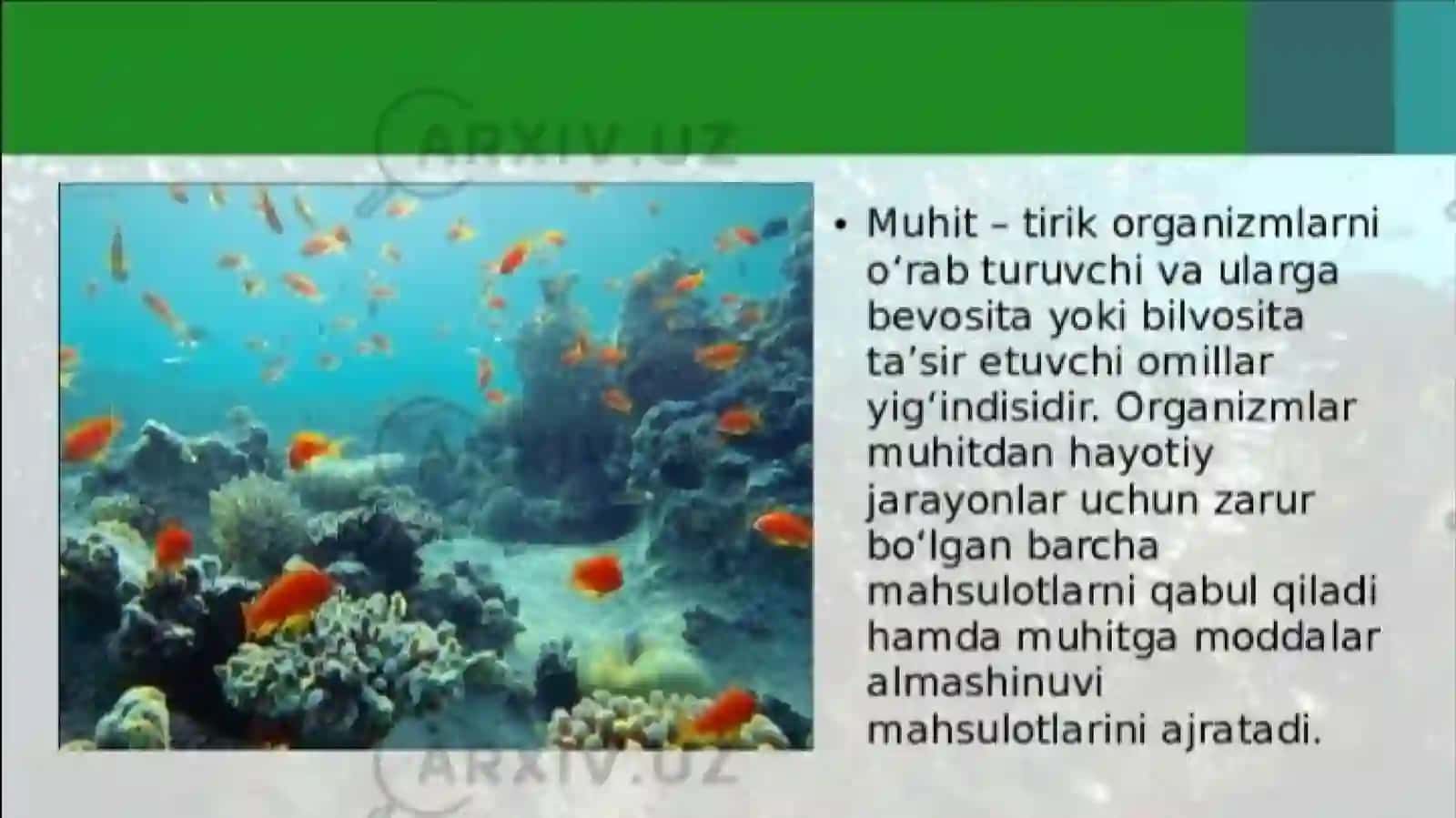 Organizmlarning tashqi muhit sharoitiga moslanishi 4