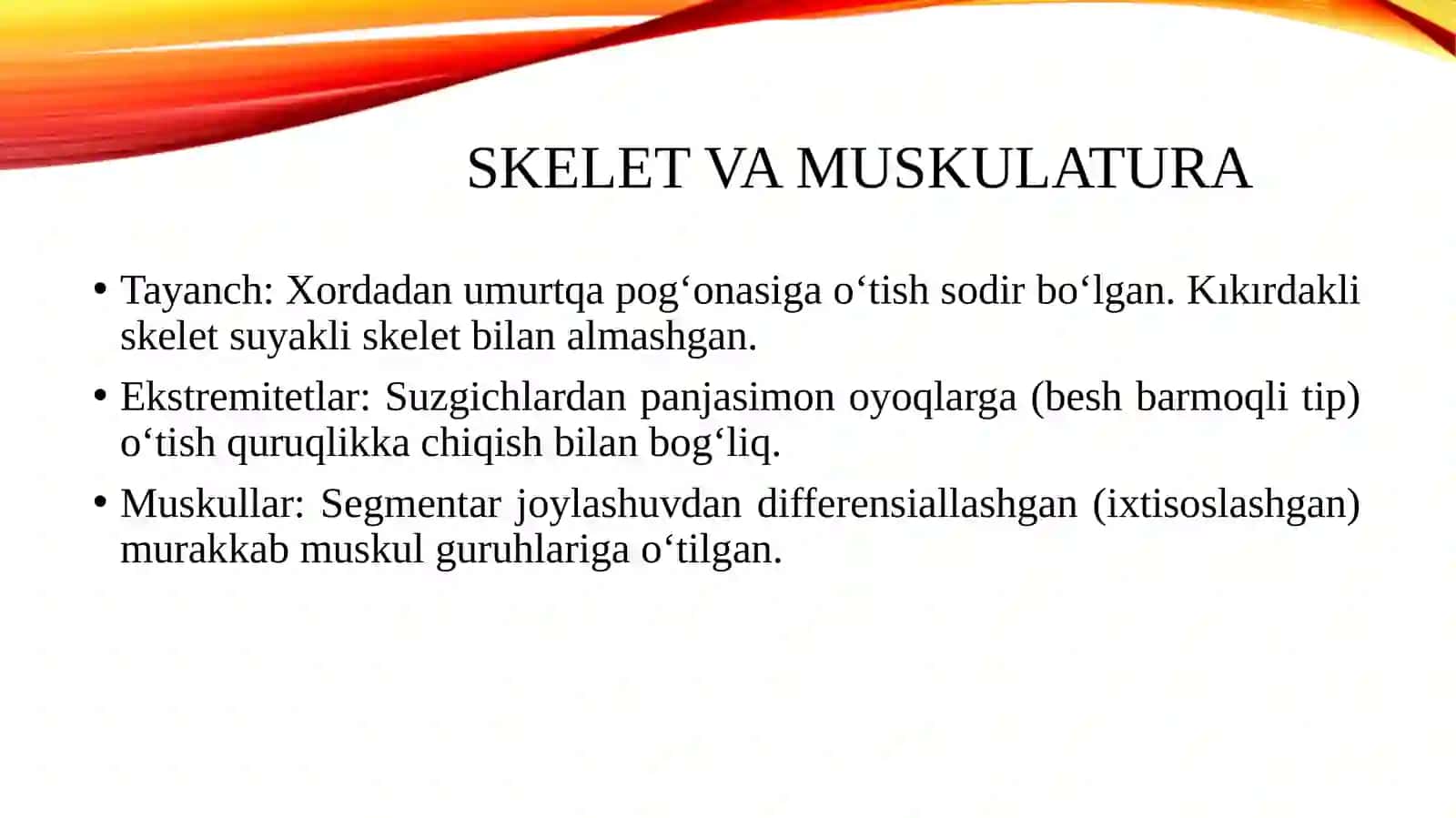 Umurtqalilarda a'zolar va aʼzolar tizimi ontogilogenezi 4
