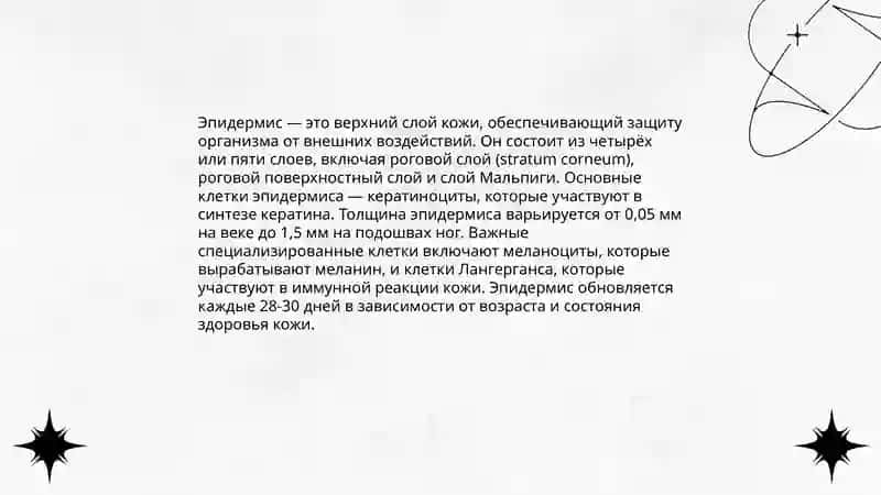 Строение кожи 4