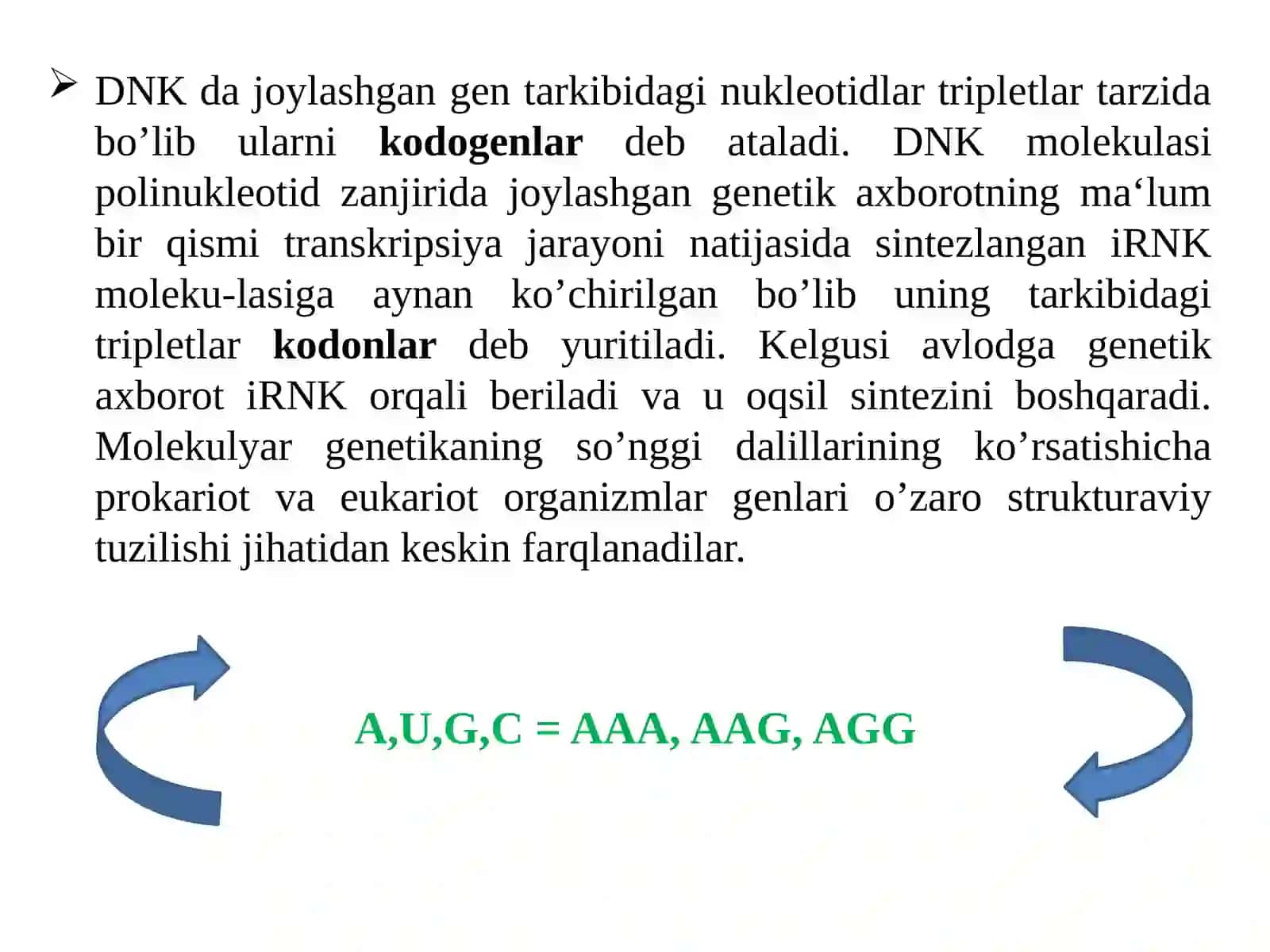 Ekzon va intronlar, promotor 4