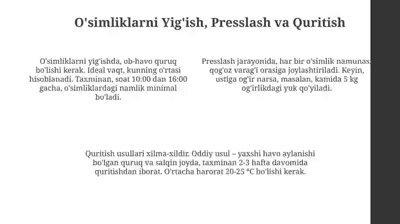 Gerbariy tayyorlash va tayyorlash usullari 4