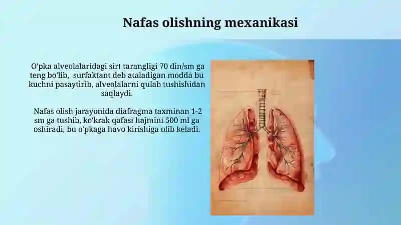 Nafas olish sistemasining fizikasi 4