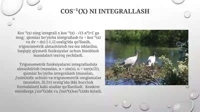 Trigonometrik va baʼzi irratsional funksiyalarni integrallash 4