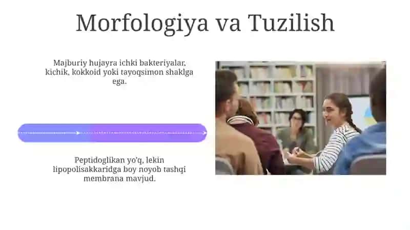 Rikketsiya 4