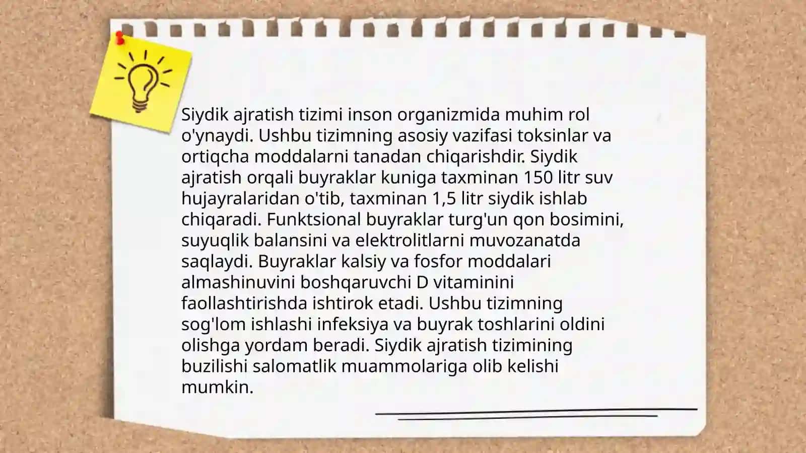 Ichki organlar haqida umumiy taʼlimot splanchnologia siydik ajratish aʼzolari 4