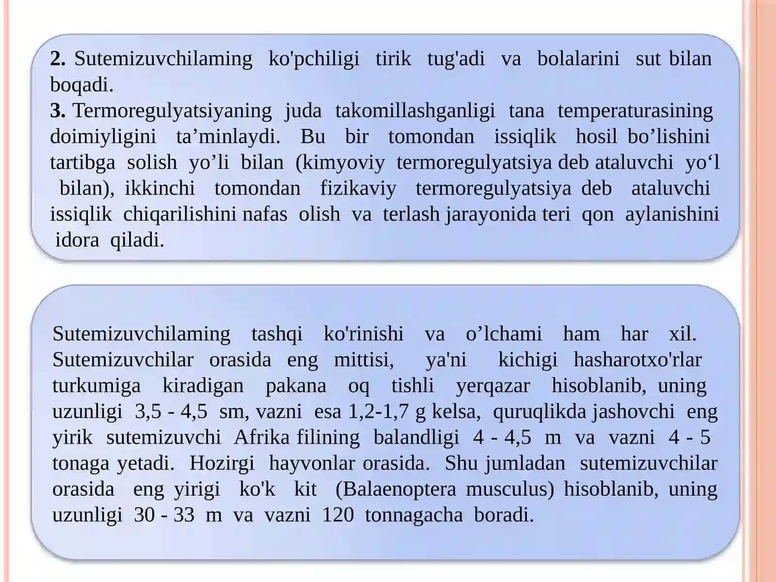 Sutemizuvchilar sinfi 90 sahifalik taqdimot 4