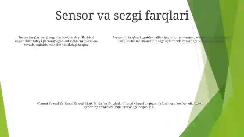 Olamni Virtual Va Visual Estetik Idrok Etishning Farqlash 4
