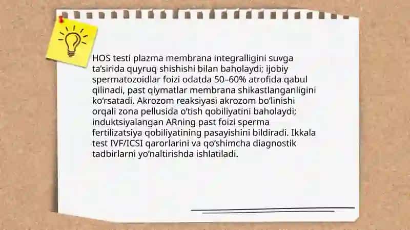 Bepushtlik laboratoriya diagnostikasi 4