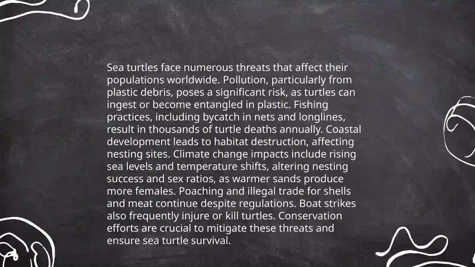 Sea turtle rescue centre 4