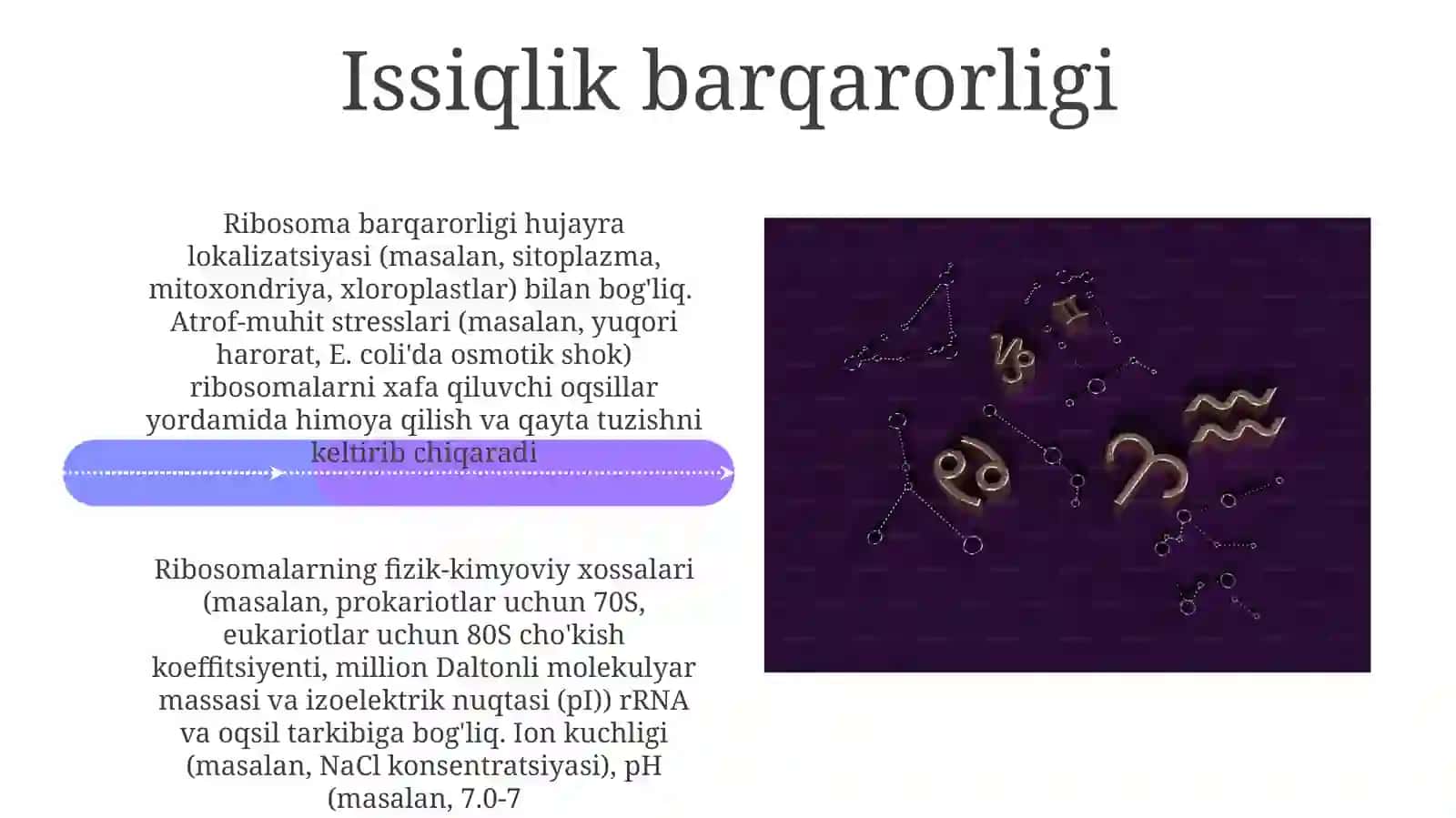 Ribosomaning mexano-kimyoviy xususiyatlari 4