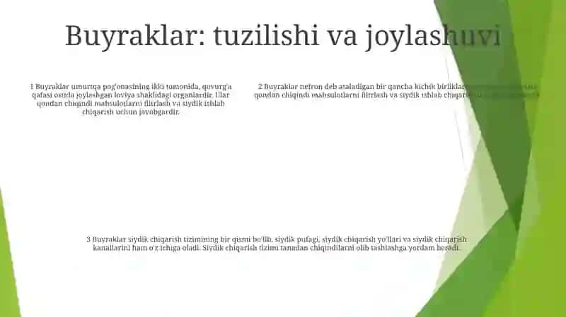 Sutemizuvchilarning Ayirish Sistemasi 4
