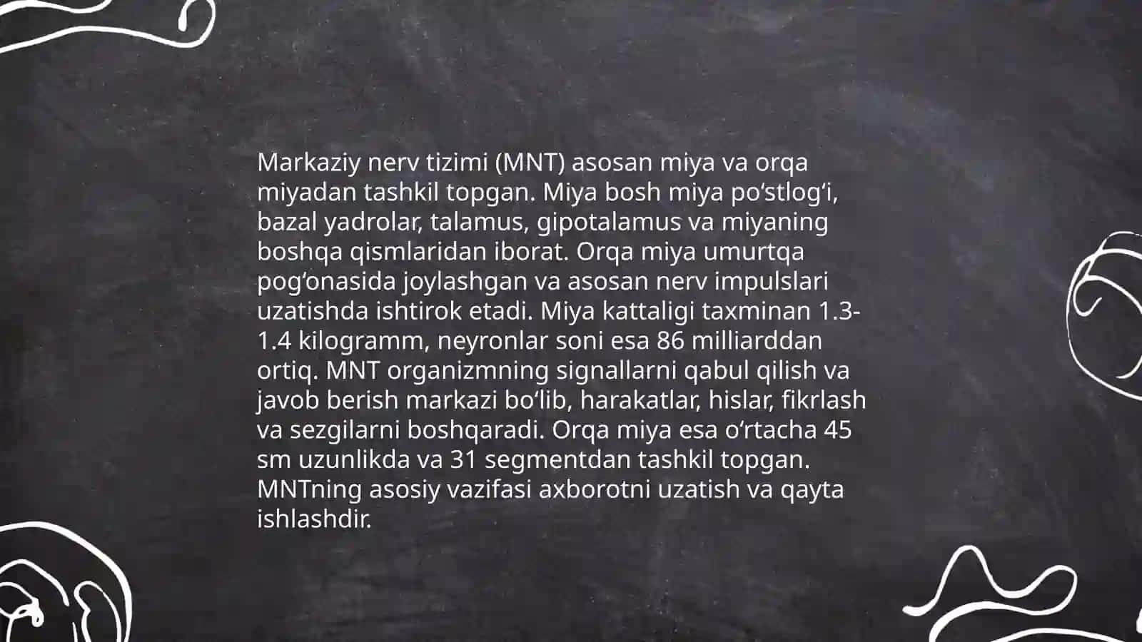 Nerv sistemasining umumiy tuzilishi 4