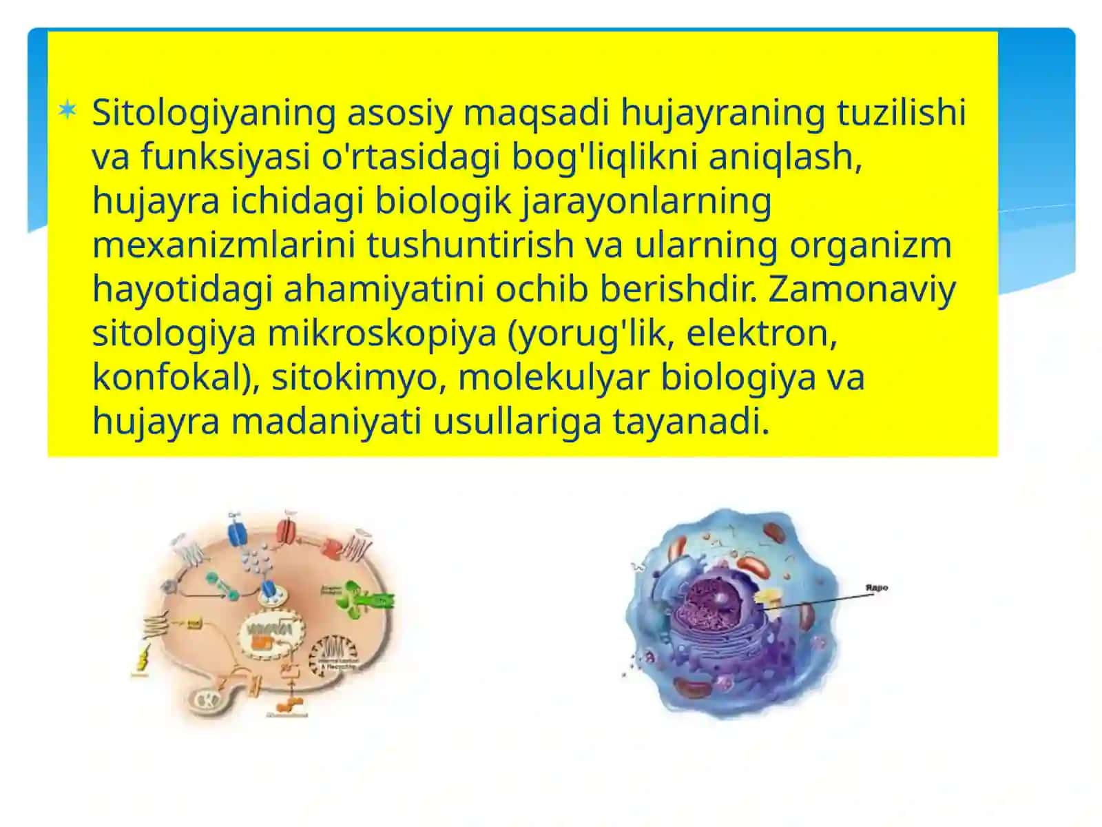 Sitologiya fanidan taqdimot 4