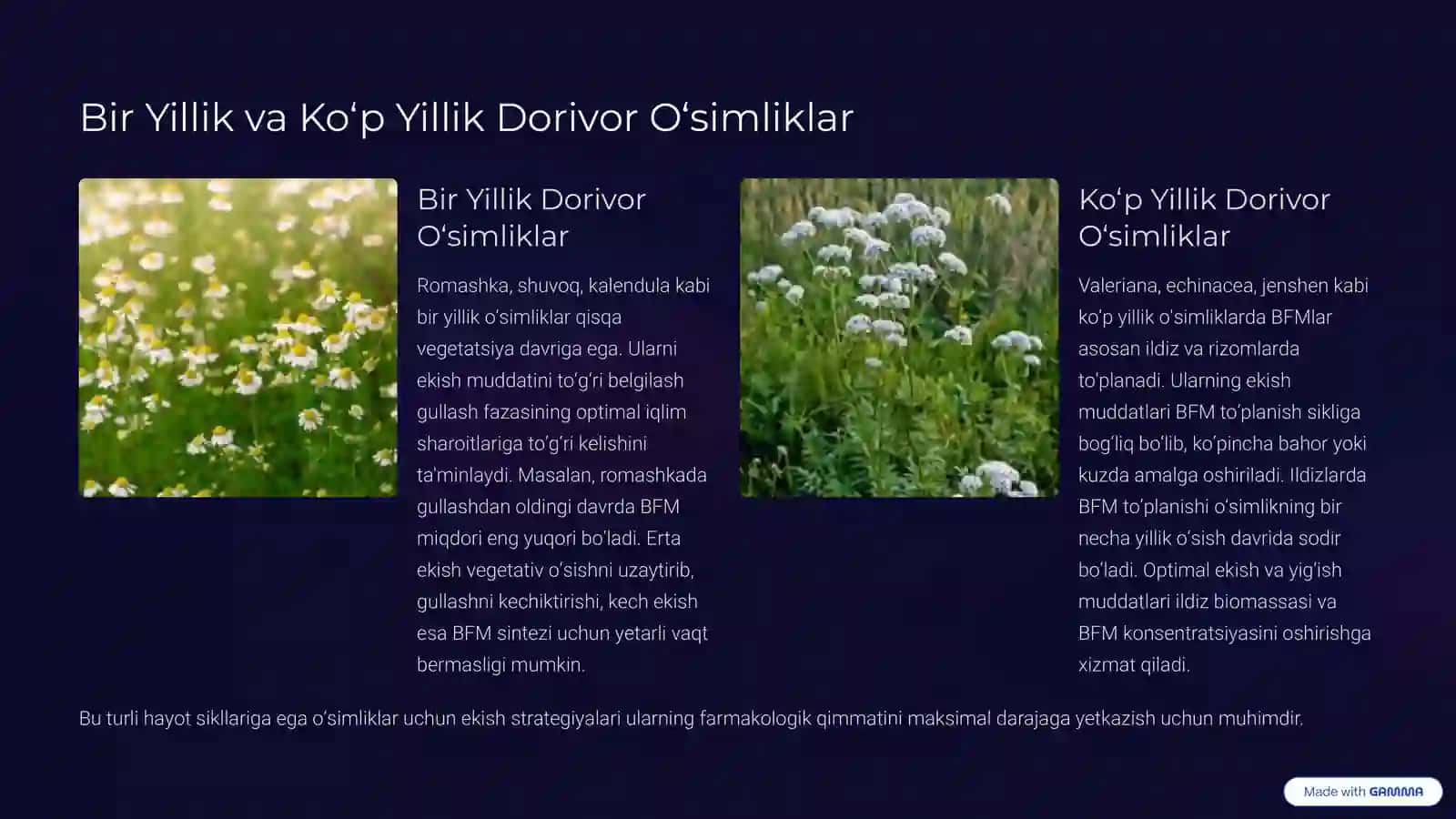 Dorivor O‘simliklarni Optimal Ekish Muddatlarining Ilmiy Asoslari.Reja 4