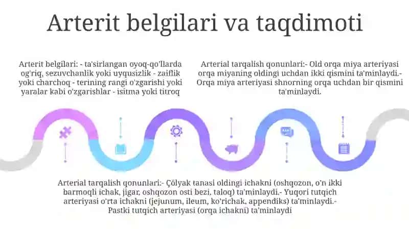 Arteritalarning Tarqalish Qonuniyatlari 4