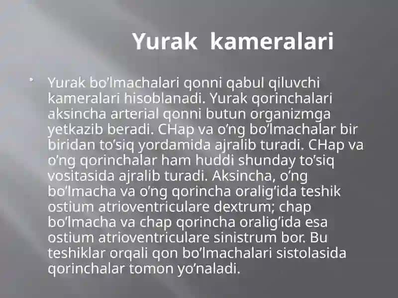 Yuraktuzilishi 4