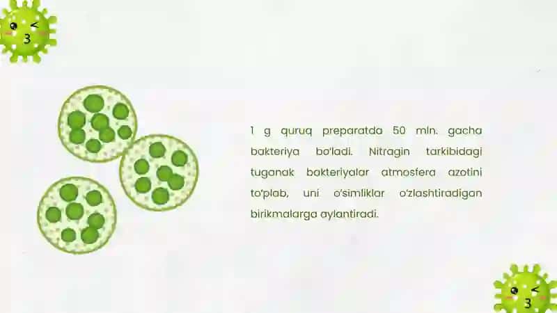 Nitragen preparatini olish texnologiyasi 4