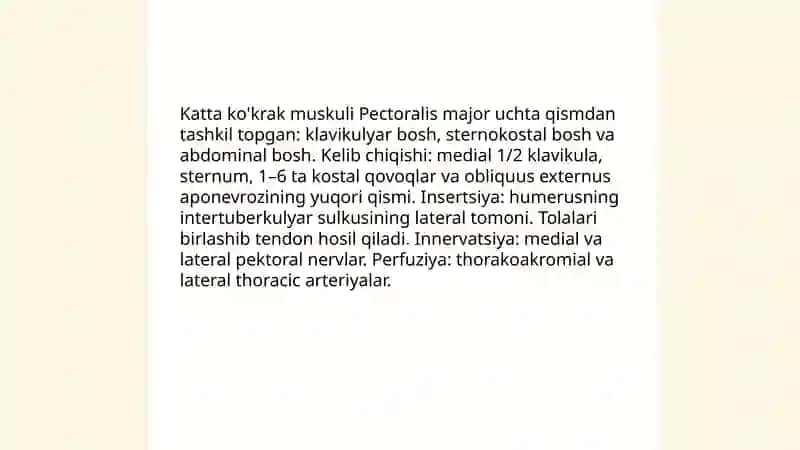 Ko'krak muskullari 4