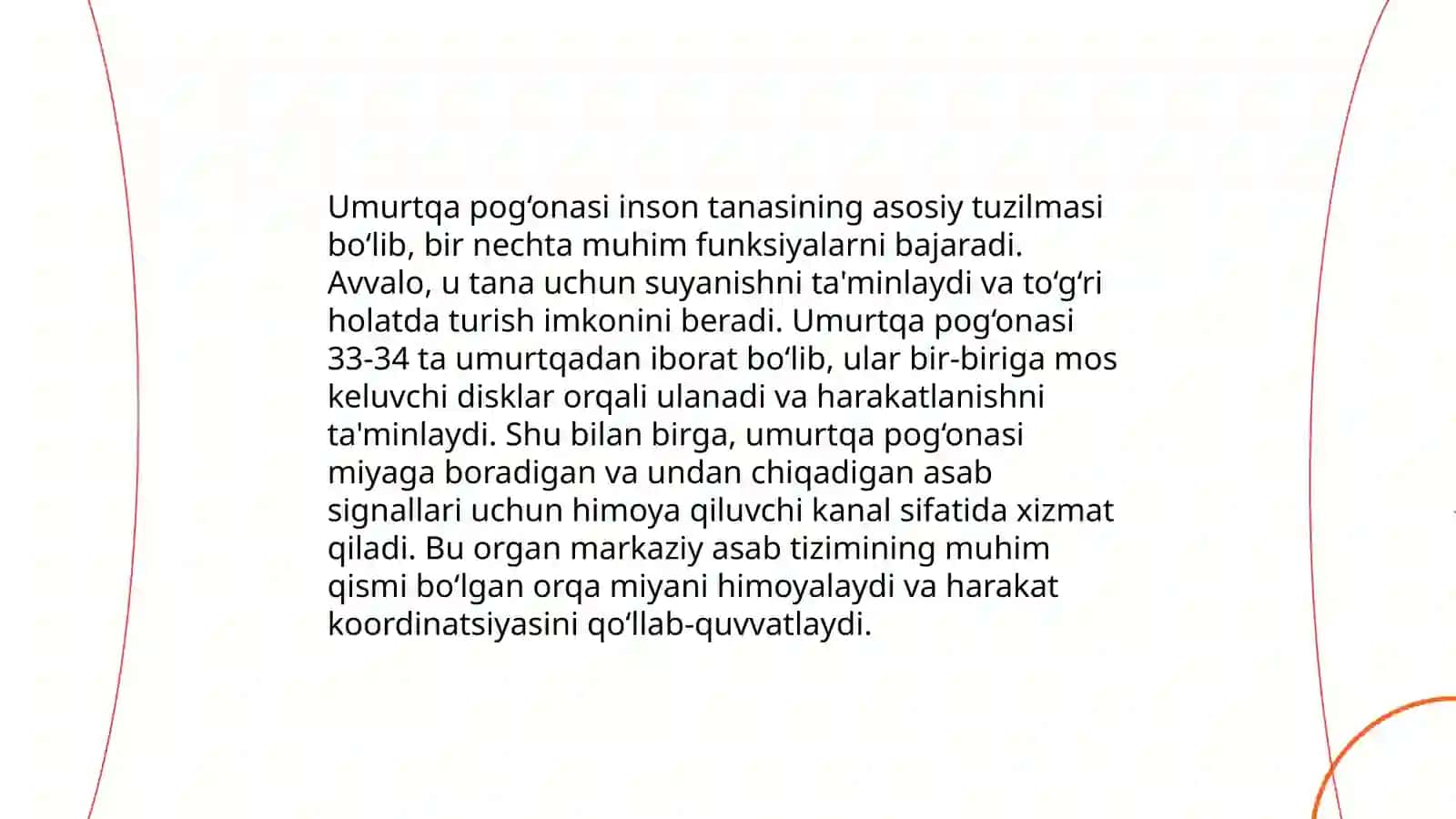 Umurtqa pog'onasining tuzilishi 4
