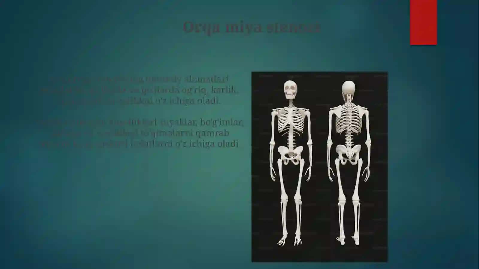 Suyakvabog'imlarningtizimlikasalliklari 4